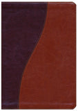Biblia Diario Vivir RVR 1960, Piel Imit. Cafe/Cafe Claro, Ind. (RVR 1960 Life Appl. Bible, Imit. Leather Brown/Tan Ind.)