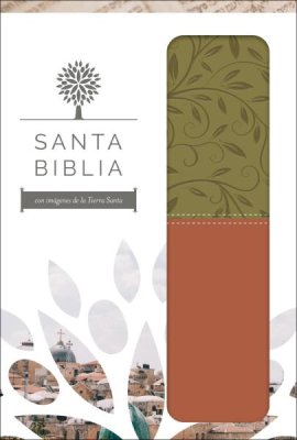 Santa Biblia RVR 1960, Letra Grande Verde Oliva/Marrón