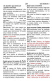 Biblia RVR 1960 Letra Gde. Tam.Manual Ref., Piel Imit. Dam./Coral (RVR 1960 Hand Size GtPt.Ref. Bible, Damask/Coral LeatherT.)