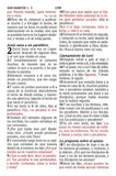 Biblia RVR 1960 Letra Gde. Tam.Manual Ref., Piel Imit. Dam./Coral (RVR 1960 Hand Size GtPt.Ref. Bible, Damask/Coral LeatherT.)