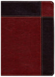 Biblia de estudio Ryrie ampliada RVR 1960, Marrón (The Ryrie Study Bible, Brown Duo-tone)