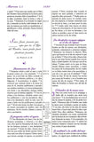 Biblia RVR 1960 Mujeres de Proposito, Piel Elaborada, Purpura