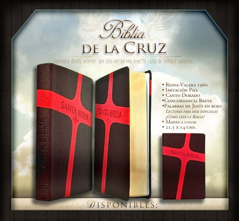 Biblia de la Cruz Reina Valera 1960